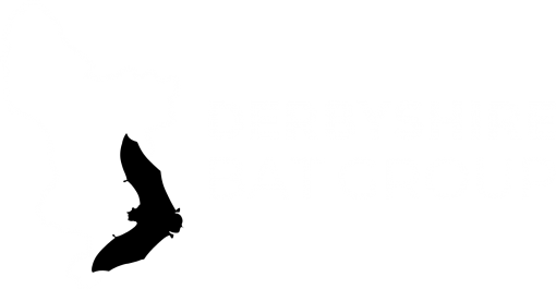 derbyshire bat group logo alt white