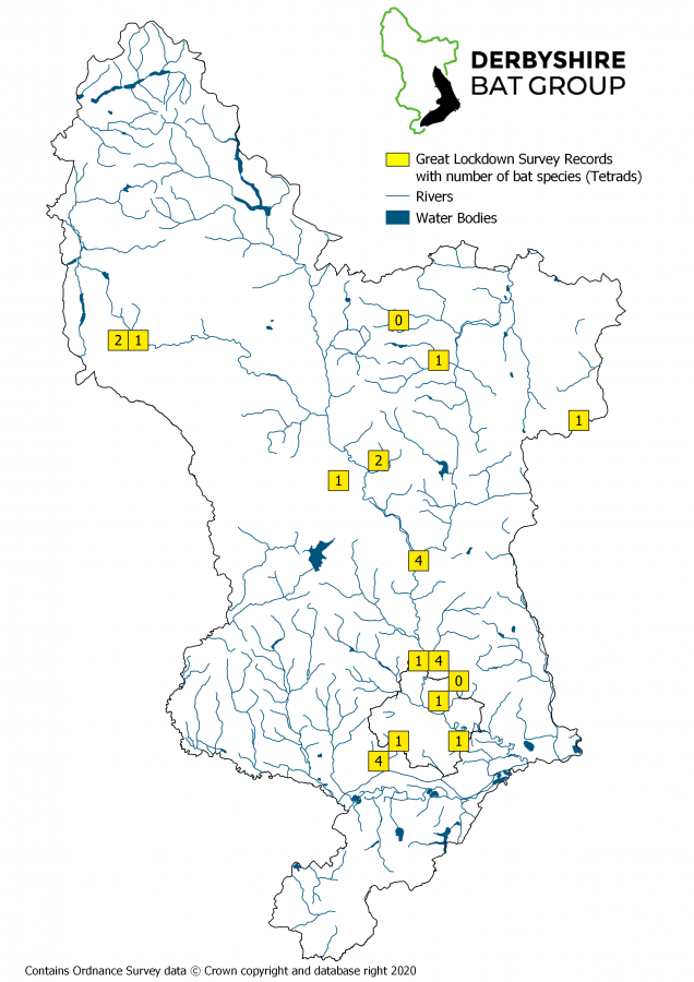 Lockdown Bat Survey 5 v2