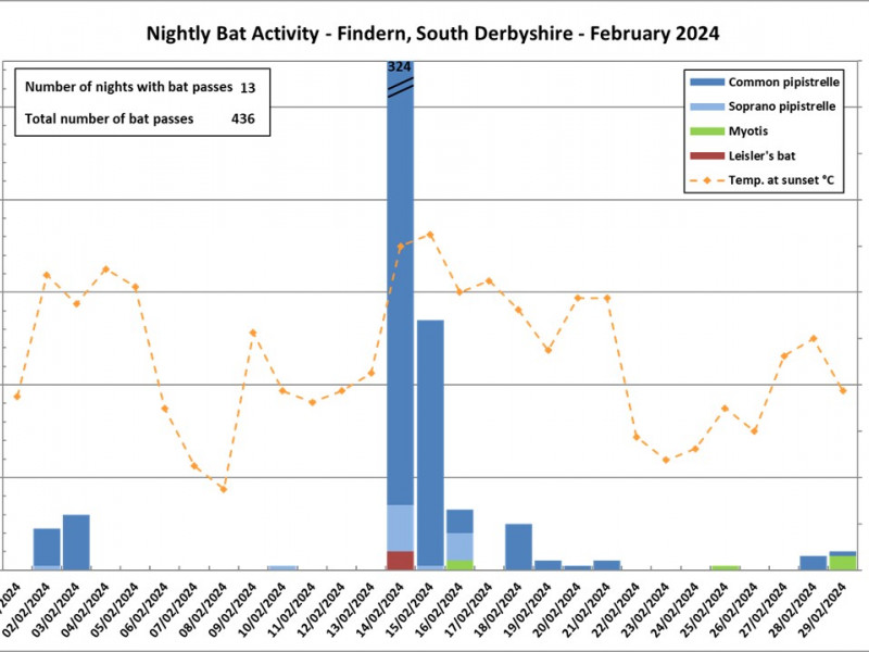 Winter Bat Activity Survey South Derbyshire – February 2024 results