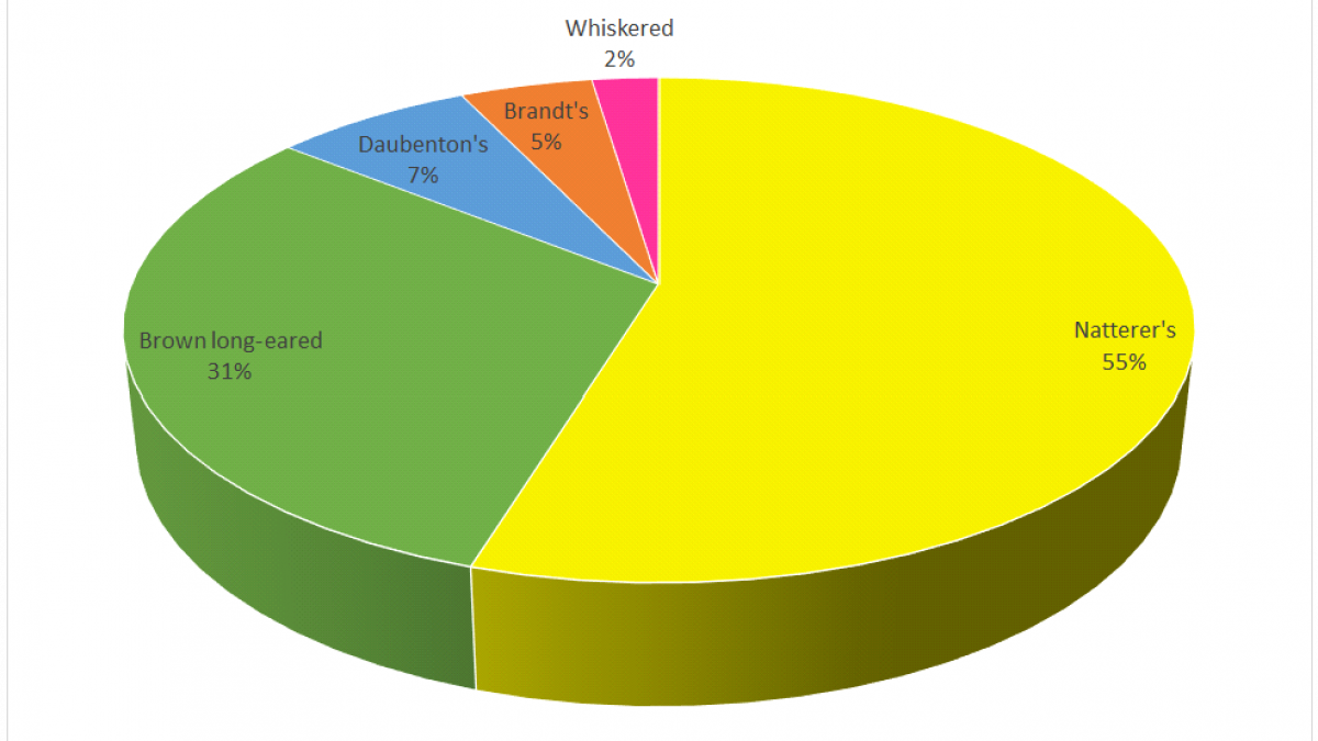 Species Breakdown