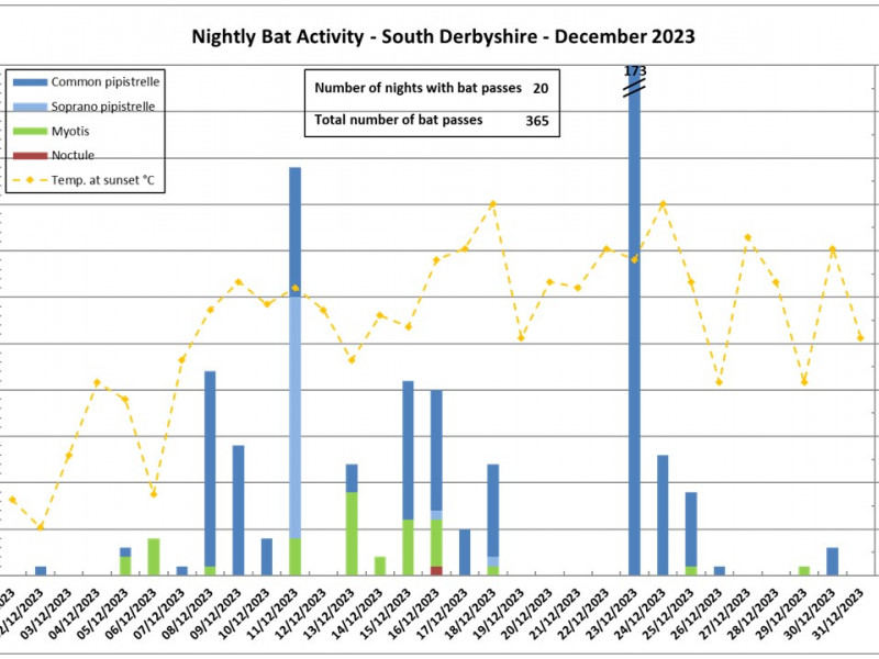 PostWinter Bat Activity Survey – December 2023 results