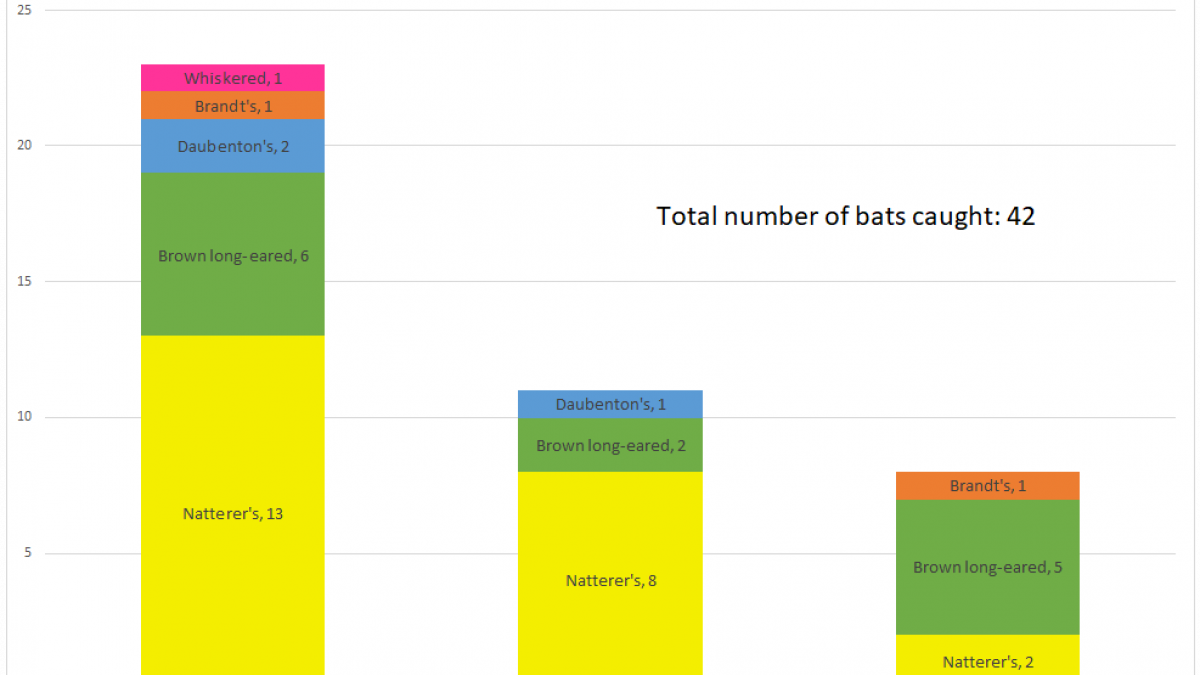 Site Breakdown2