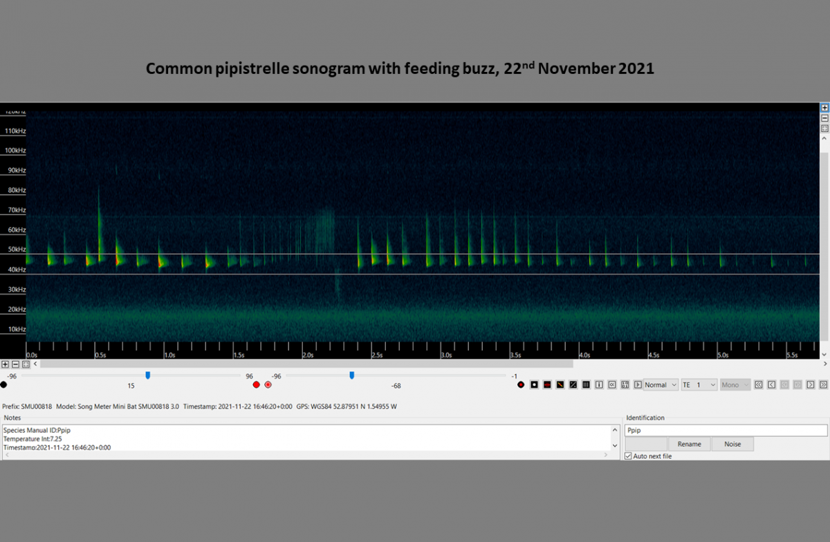 Ppip 22 11 21