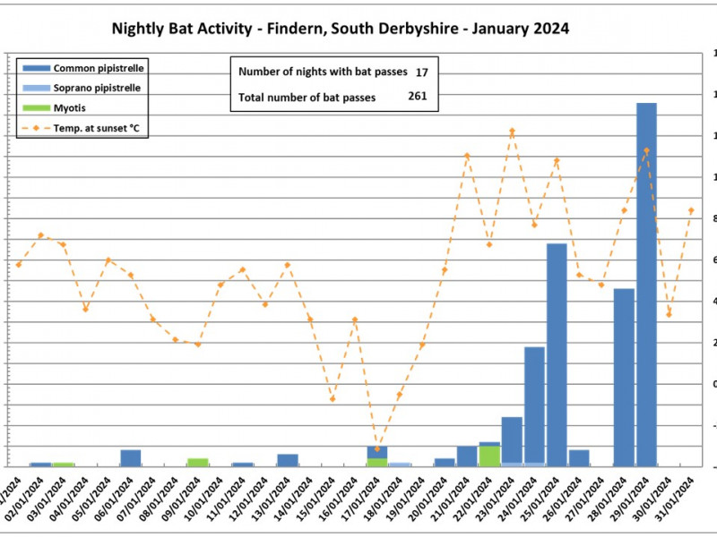 Winter Bat Activity Survey South Derbyshire – January 2024 results