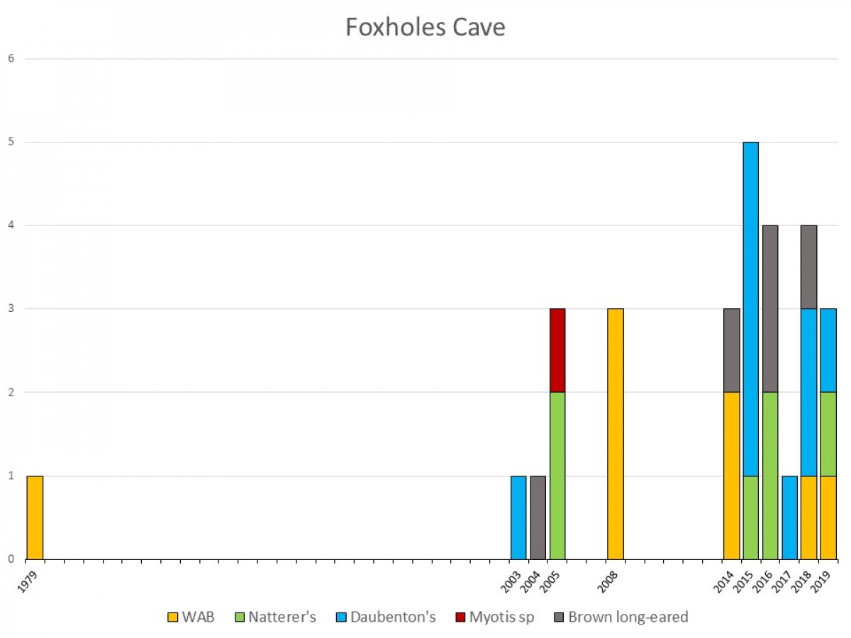 Foxholes